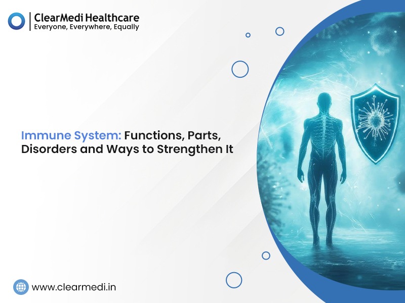 Immune System: Functions, Parts, Disorders and Ways to Strengthen It